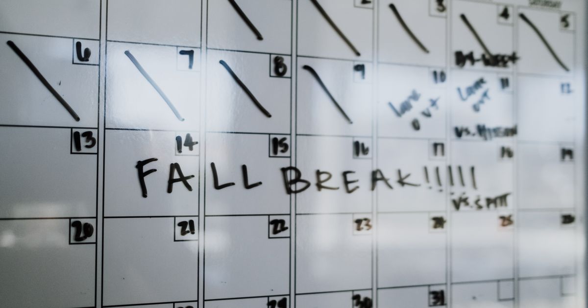Best practices for best free scheduling app for small business